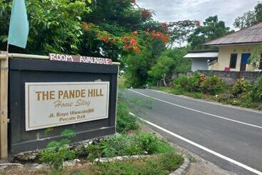 هتل The Pande Hill Homestay