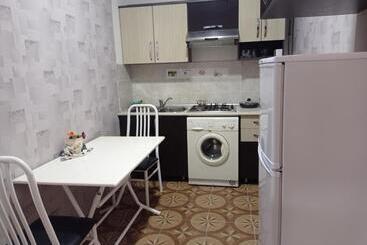 پانسیون Bizim Ev Hostel