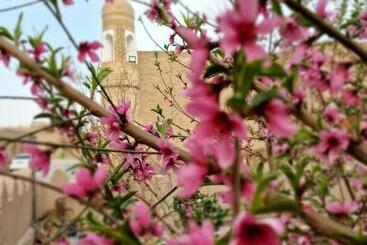 پانسیون Guest House Khiva Boyjon Ota