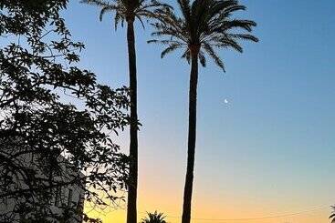 تختخواب و صبحانه Villa Nestor