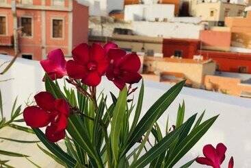 تختخواب و صبحانه Villa Nestor