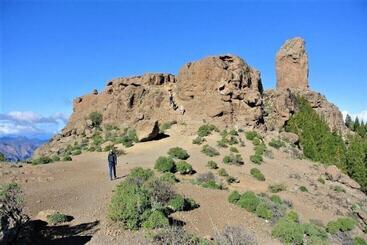 تختخواب و صبحانه Villa Nestor
