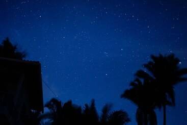 پانسیون Special Place Where You Combine The Peace Of The Jungle With The Ocean View
