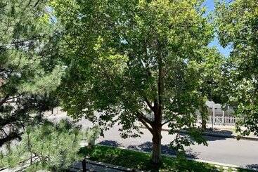 تختخواب و صبحانه El Cuervo Abq