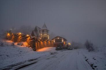 هتل Alpine Castle