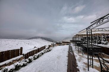 هتل Alpine Castle