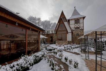 هتل Alpine Castle