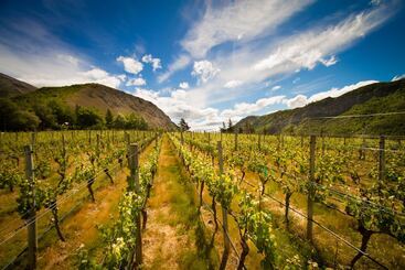هتل Gibbston Valley Lodge And Spa