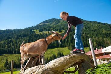 Familienhotel Oberkarteis
