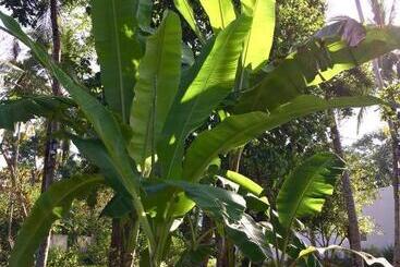 Uyana Boutique Hotel And Retreat Adults Only