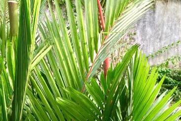 Uyana Boutique Hotel And Retreat Adults Only