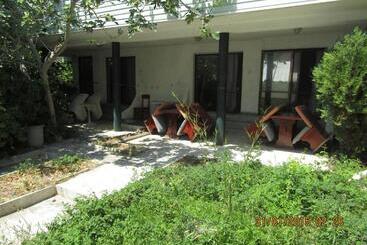 Hostel Papagal