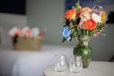 هتل Cape Colony Inn