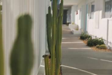 هتل The Skylark, A Palm Springs