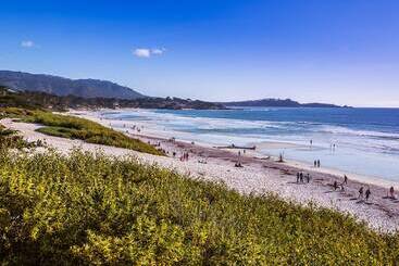 هتل Tradewinds Carmel