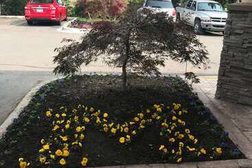 هتل Wyndham Garden Ann Arbor