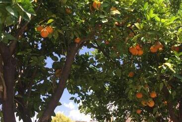 B&b L' Orangerie