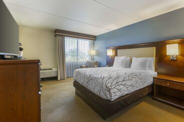 هتل Best Western Plus Coeur D'alene Inn
