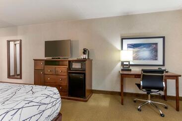 هتل Best Western Plus Coeur D'alene Inn