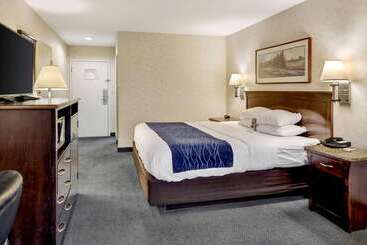 酒店 Comfort Inn Bellingham