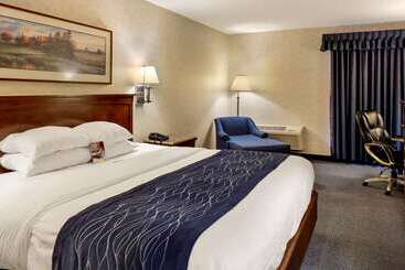 酒店 Comfort Inn Bellingham