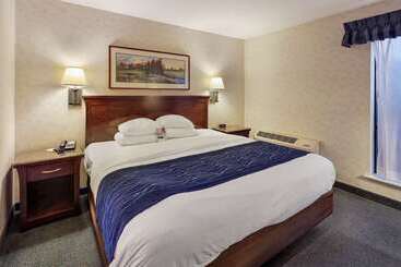 酒店 Comfort Inn Bellingham