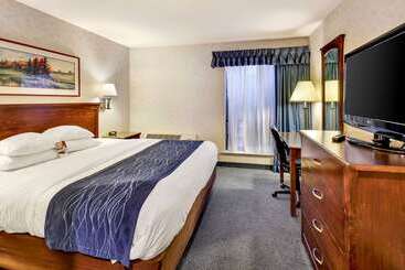 酒店 Comfort Inn Bellingham