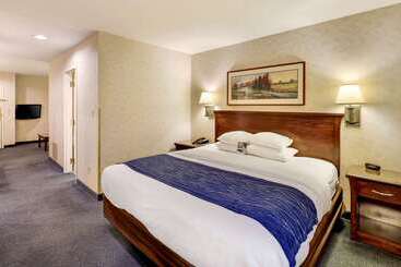 酒店 Comfort Inn Bellingham