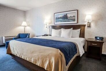 酒店 Comfort Inn Bellingham
