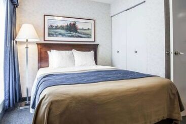 酒店 Comfort Inn Bellingham