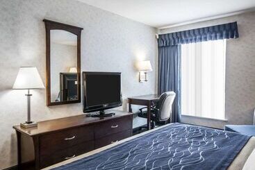 酒店 Comfort Inn Bellingham