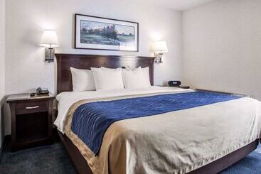 酒店 Comfort Inn Bellingham