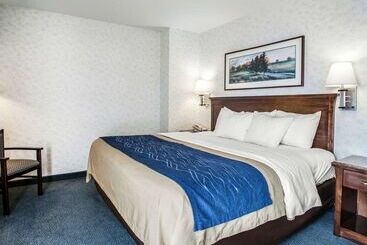 酒店 Comfort Inn Bellingham