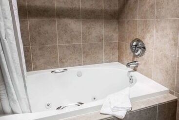 酒店 Comfort Inn Bellingham