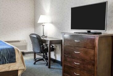 酒店 Comfort Inn Bellingham