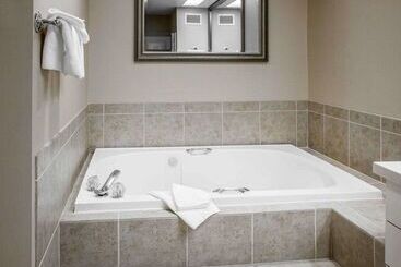 酒店 Comfort Inn Bellingham