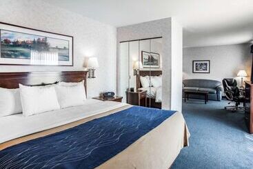 酒店 Comfort Inn Bellingham