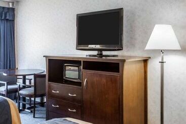 酒店 Comfort Inn Bellingham