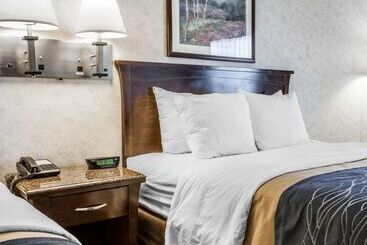 酒店 Comfort Inn Bellingham