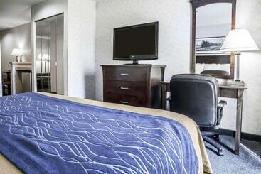 酒店 Comfort Inn Bellingham