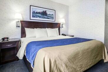 酒店 Comfort Inn Bellingham