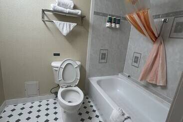 هتل Shary Inn And Suites