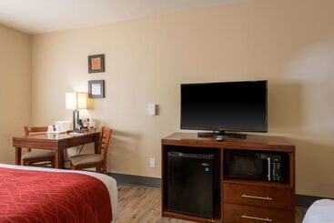 ホテル Comfort Inn & Suites Alamosa