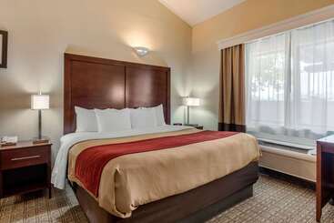 هتل Comfort Inn & Suites Alamosa