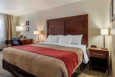 هتل Comfort Inn & Suites Alamosa