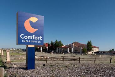 هتل Comfort Inn & Suites Alamosa