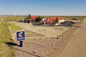 هتل Comfort Inn & Suites Alamosa