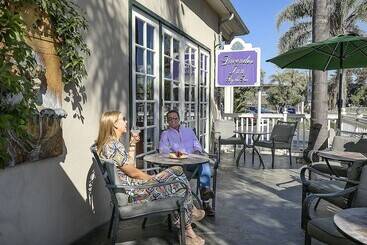 هتل Lavender Inn By The Sea