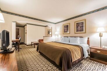 Otel Quality Inn & Suites