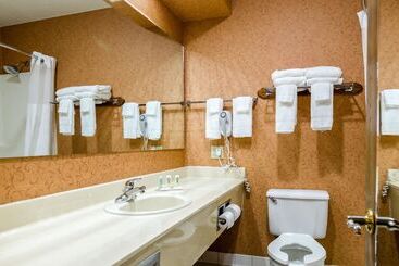 هتل Quality Inn Eureka Springs South